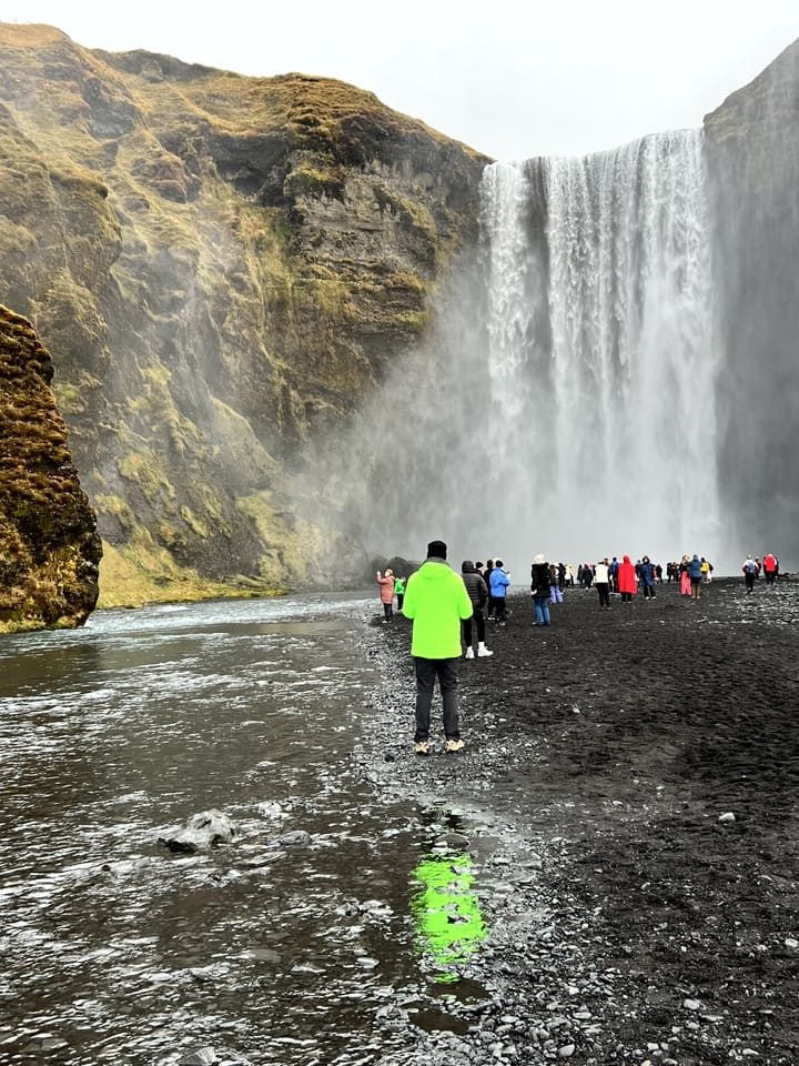 Islande vert Brat